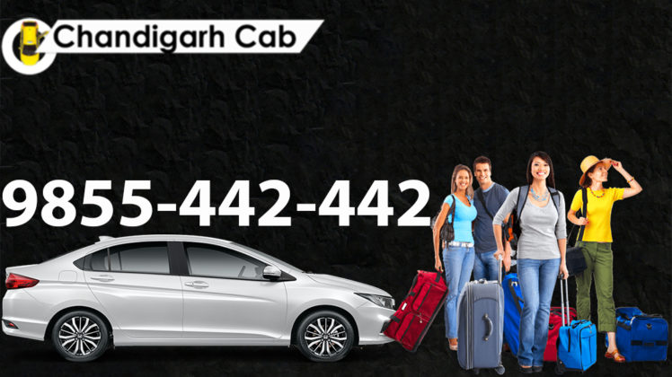 Nri Taxi From Chandigarh to New Delhi Airport